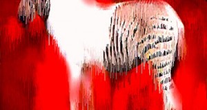 Elephant 12